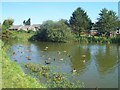 Tiverton : Grand Western Canal