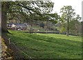 Houses on Darley Road, Birstwith