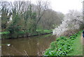 River Medway west of Maidstone