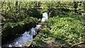 Footbridge over channel near Frensham