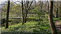 Footbridge over River Wey (South Branch)