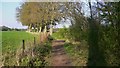 Footpath between fields near Dockenfield