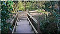 Footbridge over River Wey tributary near Spreakley