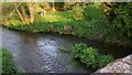 River Wey and garden seen from bridge on the A287