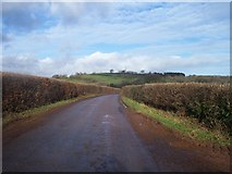 SS9610 : Mid Devon : Country Road by Lewis Clarke