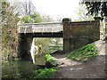 Wendover Arm: Perch Bridge (No 10) from the north