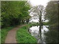 SP8609 : Wendover Arm: The Canal goes further round the bend ... by Chris Reynolds