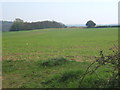 Large field south of Chapel Lane