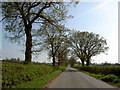 Bumble Bee Lane heading towards High Cross