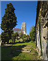 SE7428 : Howden Minster churchyard by Paul Harrop