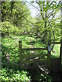 Stile and footpath towards Maeshafn #2