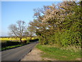 Road scene near Hykeham Grange