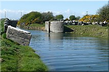 M3919 : Ballynamanagh River by Graham Horn