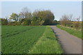 Lane at Wetherden Upper Town