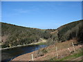 The head of Llyn y Fydlyn