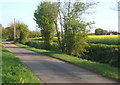 Lane towards Wetherden