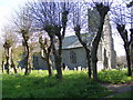 TM3865 : St.Mary's Church, Kelsale by Geographer