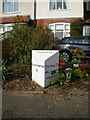 Detail of the Codsall Milestone