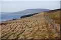 HY5429 : Coastal fence by Ian Balcombe