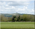 2009 : North of east from Manor Road, Keynsham