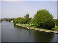 View from Reading Bridge