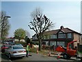 Pollarding a Horse Chestnut tree in Knowsley Avenue, Southall