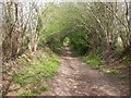 Bere Regis, bridleway