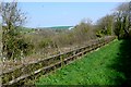 Countryside near Wynford Eagle