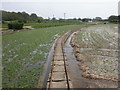 Hollow Oak, watercress beds