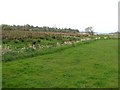 Coolbeg Townland