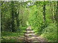 Track to Great Barnfield Wood