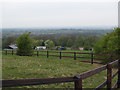 Pasture land, Hambleton Hill