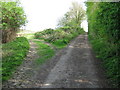 Footpath junction near Provender Farm