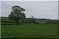 Fields near to Weston Fields Farm