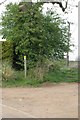 Footpath toward Waverley