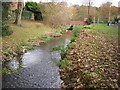 The River Shuttle approaching Bexley Park Wood