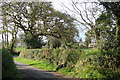 View of road with Zempson through the trees