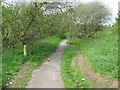 View along the Stour Valley Walk