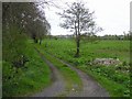 Drumlught Townland