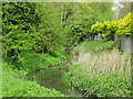 The Great Stour from the Stour Valley Walk