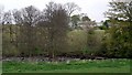 Bollihope Burn