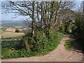 Footpath and view above Dittisham