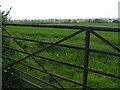 Field near Hay House, Broadclyst in the background