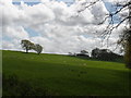 Clouds, above Sndwell Farm