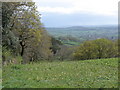 View towards Corry Brook Valley