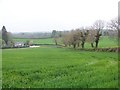 Fields along the Birchgrove Gilford