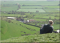 ST5138 : View from the Tor by michael ely