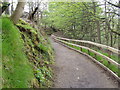 Riverside pathway, Seaton Park