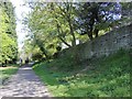 Path at Great Linford