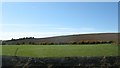 Ploughed field on the side of a drumlin near Llanynghenedl